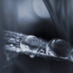 We Deserve This : Exit Nowhere